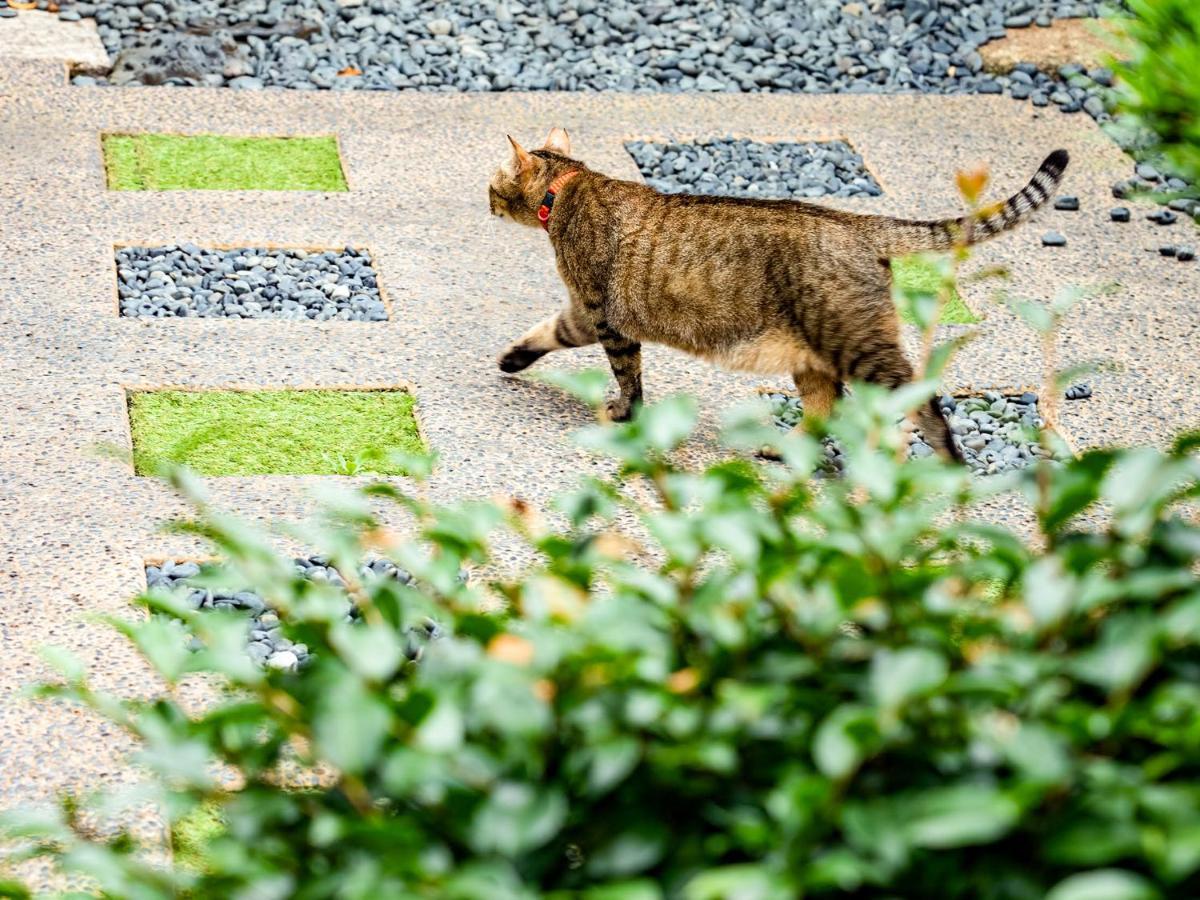 Udatsuya Osaka Ngoại thất bức ảnh